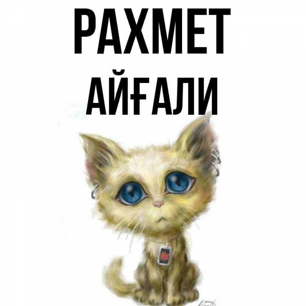 Күн сайын ашық хат с именем, Айғали рахмет рисованный кот благодарит вас Онлайн тегін жүктеп алу тілектері бар керемет карта 