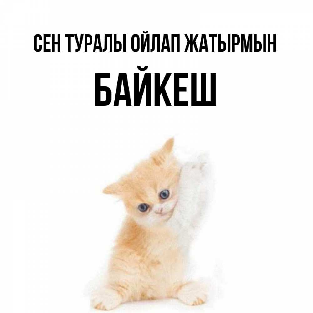 Күн сайын ашық хат с именем, Байкеш Сен туралы ойлап жатырмын зверушки и милота Онлайн тегін жүктеп алу тілектері бар керемет карта 