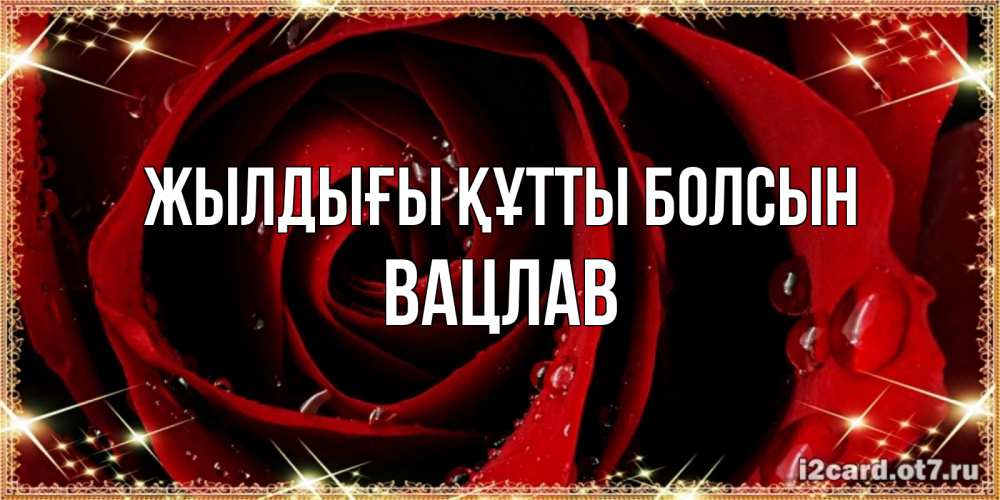 Күн сайын ашық хат с именем, Вацлав Жылдығы құтты болсын цветок в росе на день рождения Онлайн тегін жүктеп алу тілектері бар керемет карта 
