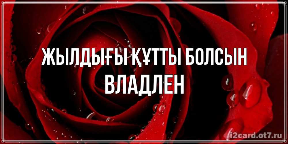 Күн сайын ашық хат с именем, Владлен Жылдығы құтты болсын крупная бордовая роза Онлайн тегін жүктеп алу тілектері бар керемет карта 