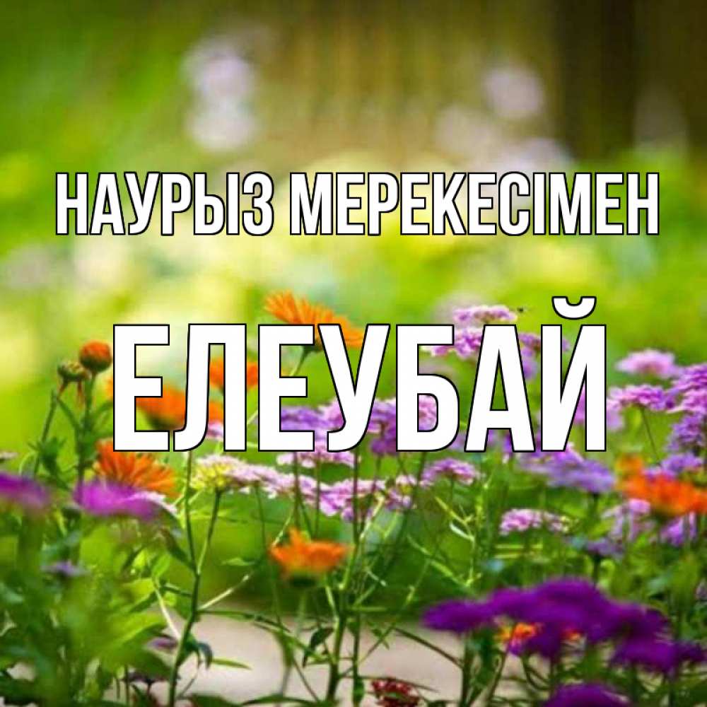 Күн сайын ашық хат с именем, Елеубай Наурыз мерекесімен цветы Онлайн тегін жүктеп алу тілектері бар керемет карта 