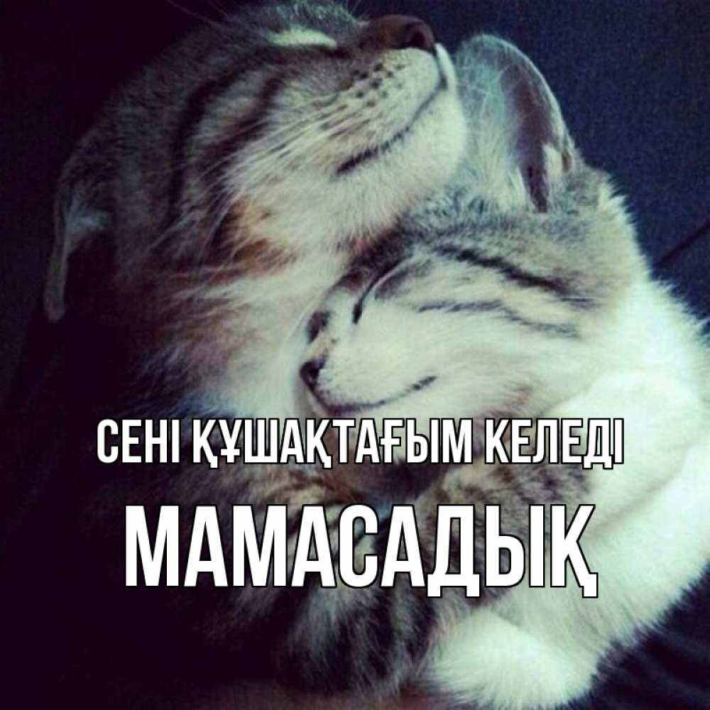 Күн сайын ашық хат с именем, МАМАСАДЫҚ сені құшақтағым келеді полосатики Онлайн тегін жүктеп алу тілектері бар керемет карта 