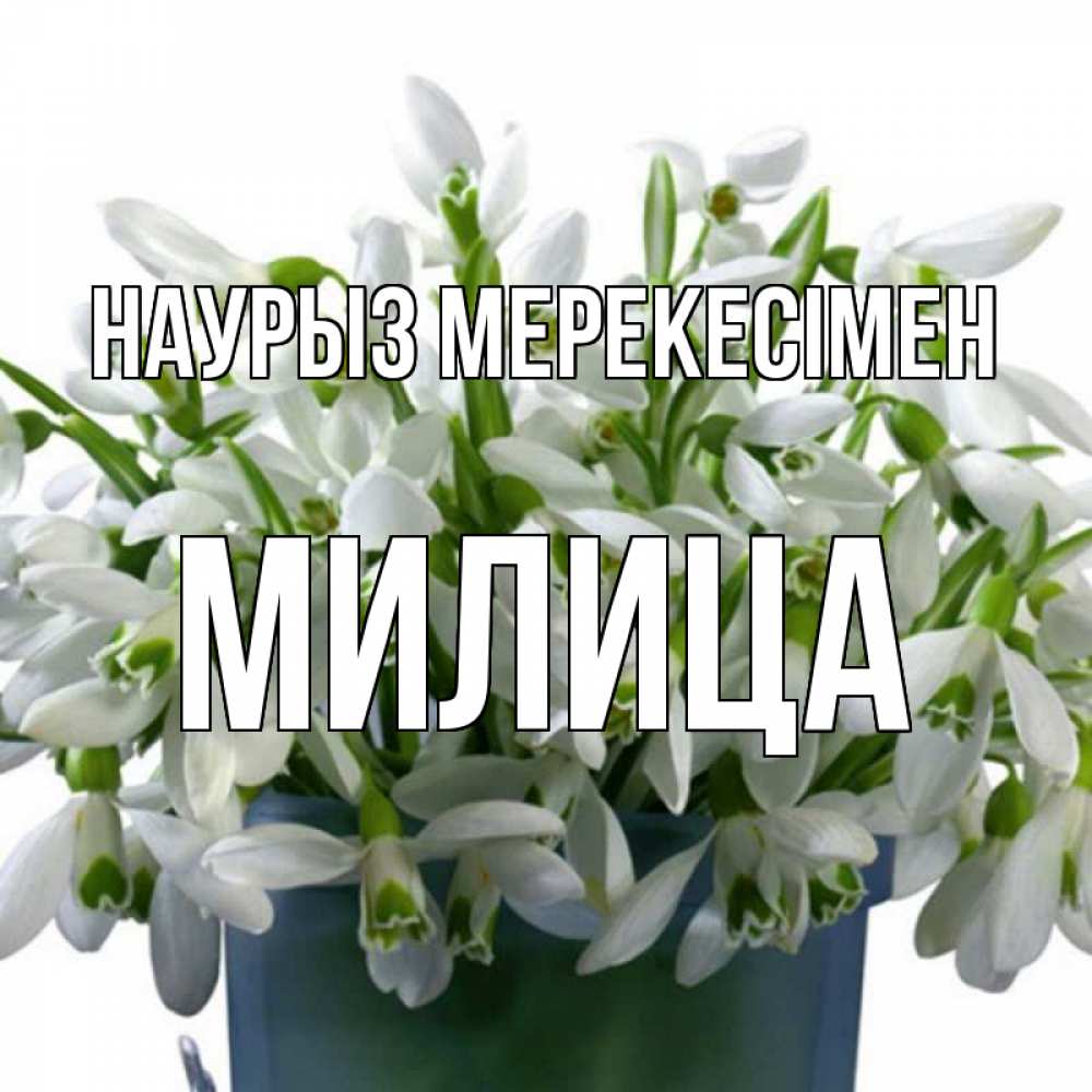 Күн сайын ашық хат с именем, Милица Наурыз мерекесімен цветы к наурызу новый год в Казахстане Онлайн тегін жүктеп алу тілектері бар керемет карта 