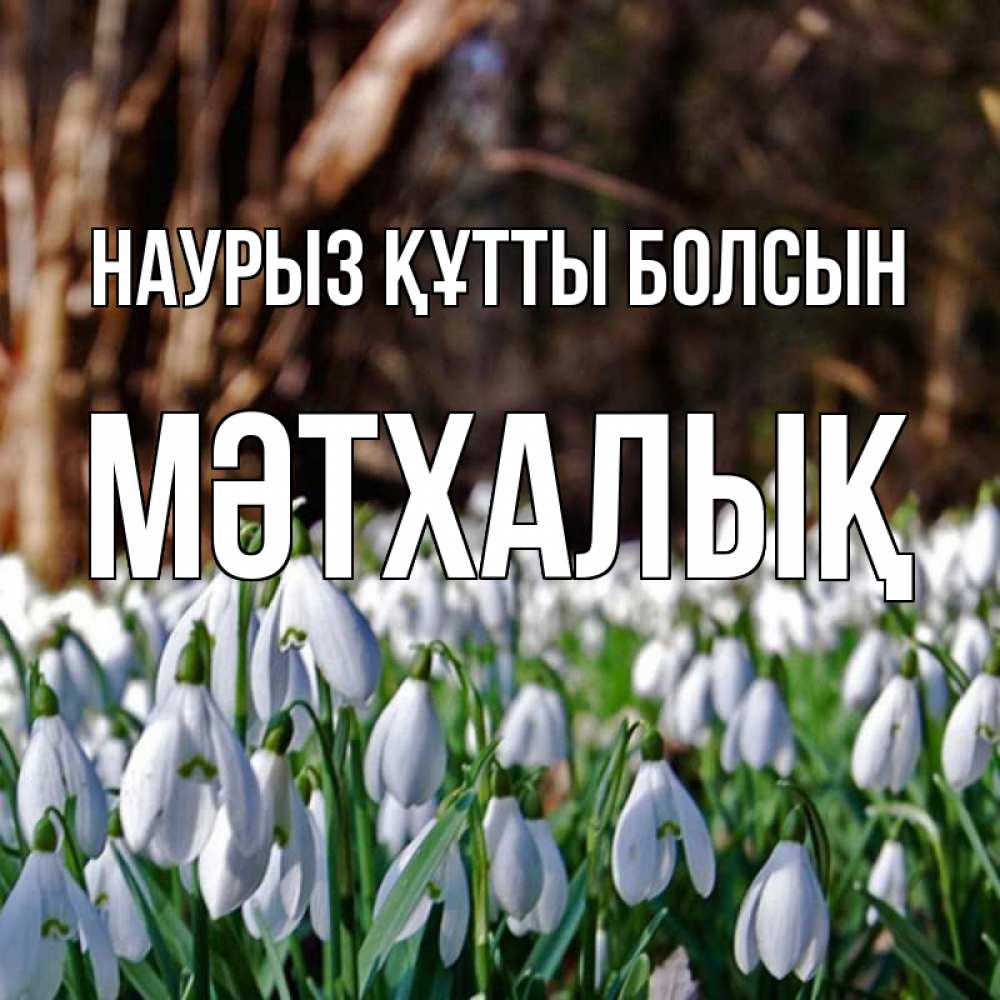 Күн сайын ашық хат с именем, МӘТХАЛЫҚ Наурыз құтты болсын с подснежниками 1 Онлайн тегін жүктеп алу тілектері бар керемет карта 