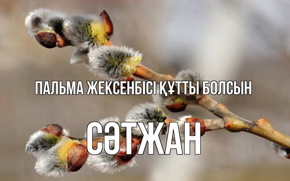 Күн сайын ашық хат с именем, СӘТЖАН Пальма жексенбісі құтты болсын Верба Онлайн тегін жүктеп алу тілектері бар керемет карта 