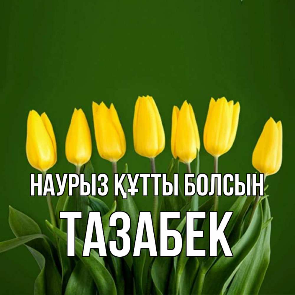 Күн сайын ашық хат с именем, ТАЗАБЕК Наурыз құтты болсын желтого цвета 3 Онлайн тегін жүктеп алу тілектері бар керемет карта 