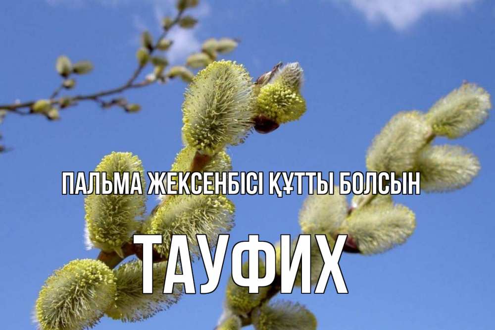 Күн сайын ашық хат с именем, ТАУФИХ Пальма жексенбісі құтты болсын верба Онлайн тегін жүктеп алу тілектері бар керемет карта 