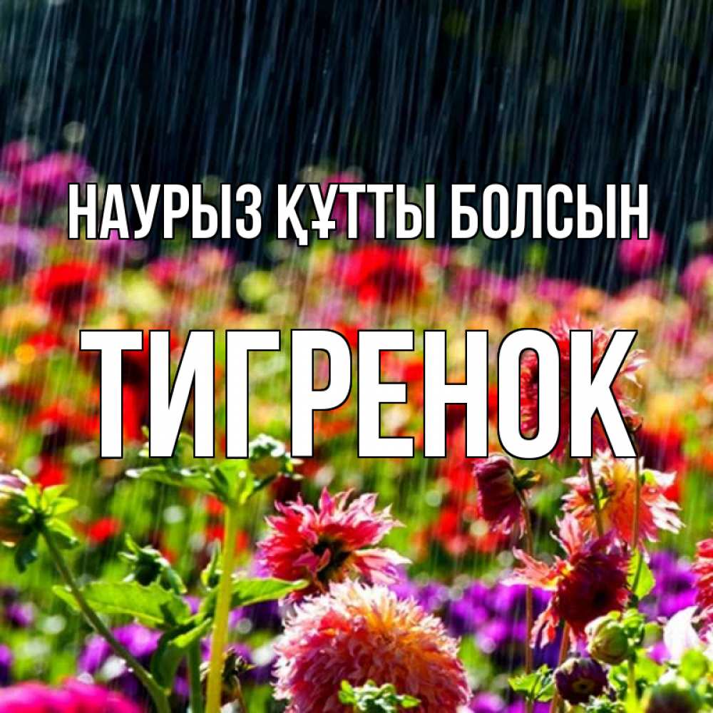 Күн сайын ашық хат с именем, Тигренок Наурыз құтты болсын цветы под дождиком к наурызу Онлайн тегін жүктеп алу тілектері бар керемет карта 