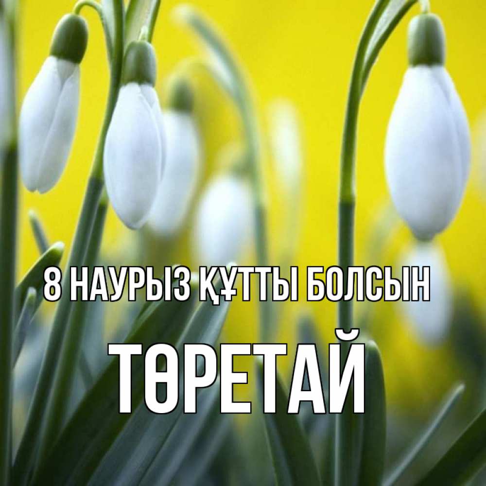 Күн сайын ашық хат с именем, Төретай 8 наурыз құтты болсын весенние цветы Онлайн тегін жүктеп алу тілектері бар керемет карта 