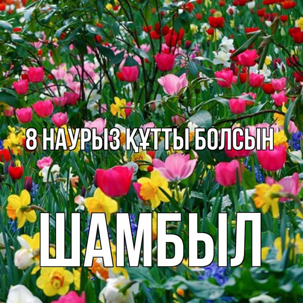 Күн сайын ашық хат с именем, ШАМБЫЛ 8 наурыз құтты болсын с международным женским днем поздравления для женщины Онлайн тегін жүктеп алу тілектері бар керемет карта 