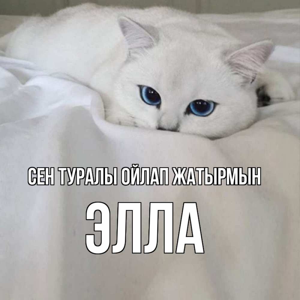 Күн сайын ашық хат с именем, Элла Сен туралы ойлап жатырмын я очень по тебе скучаю и тоскую Онлайн тегін жүктеп алу тілектері бар керемет карта 