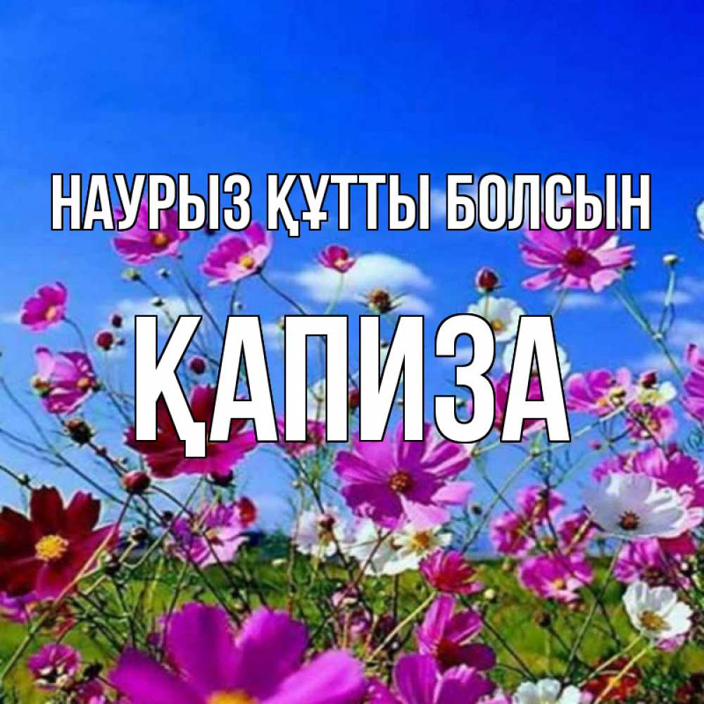 Күн сайын ашық хат с именем, ҚАПИЗА Наурыз құтты болсын цветы Онлайн тегін жүктеп алу тілектері бар керемет карта 