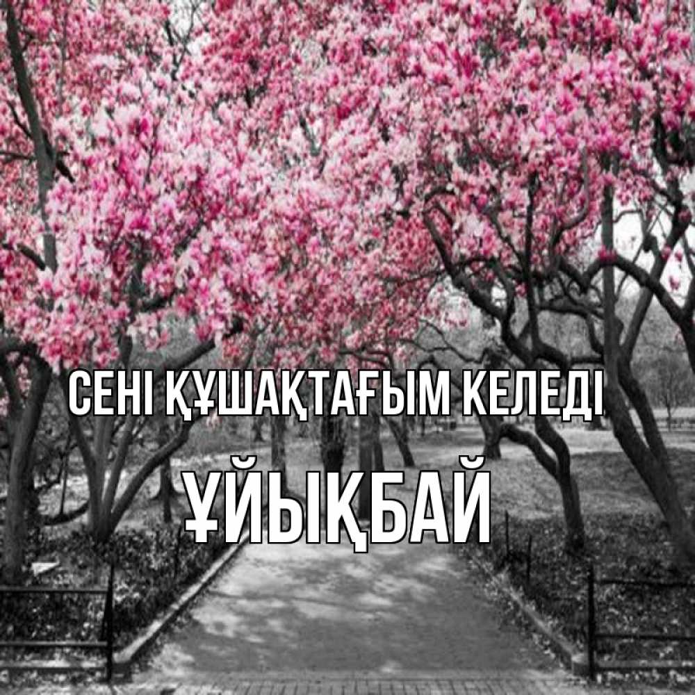 Күн сайын ашық хат с именем, ҰЙЫҚБАЙ сені құшақтағым келеді обработанное фото Онлайн тегін жүктеп алу тілектері бар керемет карта 