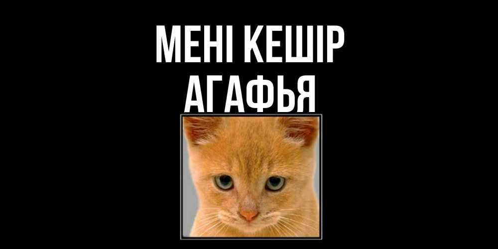 Күн сайын ашық хат с именем, Агафья Мені кешір рыжий грустный кот просит прощения Онлайн тегін жүктеп алу тілектері бар керемет карта 