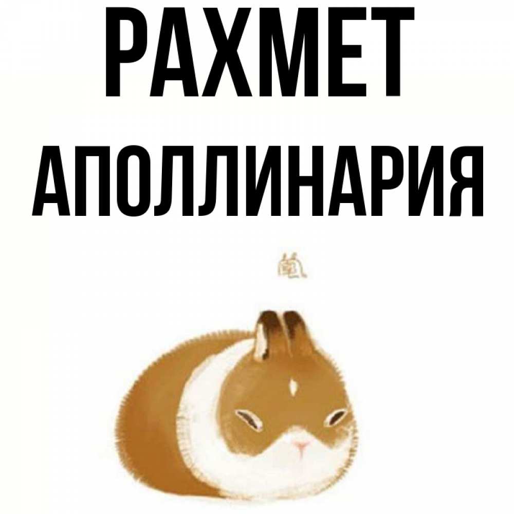 Күн сайын ашық хат с именем, Аполлинария рахмет коричнево белый домашний питомец Онлайн тегін жүктеп алу тілектері бар керемет карта 