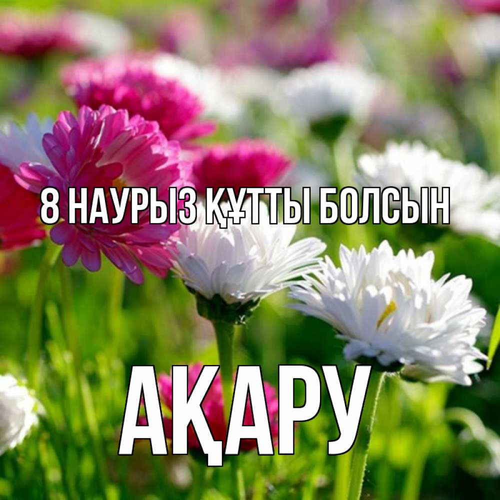 Күн сайын ашық хат с именем, АҚАРУ 8 наурыз құтты болсын международный женский день 1 Онлайн тегін жүктеп алу тілектері бар керемет карта 