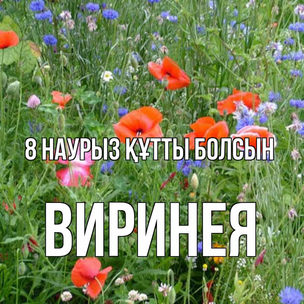 Күн сайын ашық хат с именем, Виринея 8 наурыз құтты болсын международный женский день 4 Онлайн тегін жүктеп алу тілектері бар керемет карта 