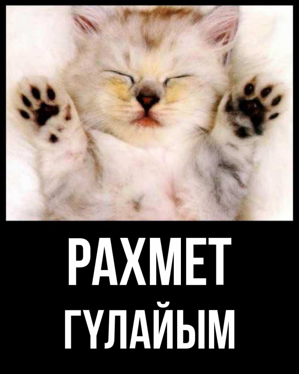 Күн сайын ашық хат с именем, ГҮЛАЙЫМ рахмет маленький котенок Онлайн тегін жүктеп алу тілектері бар керемет карта 