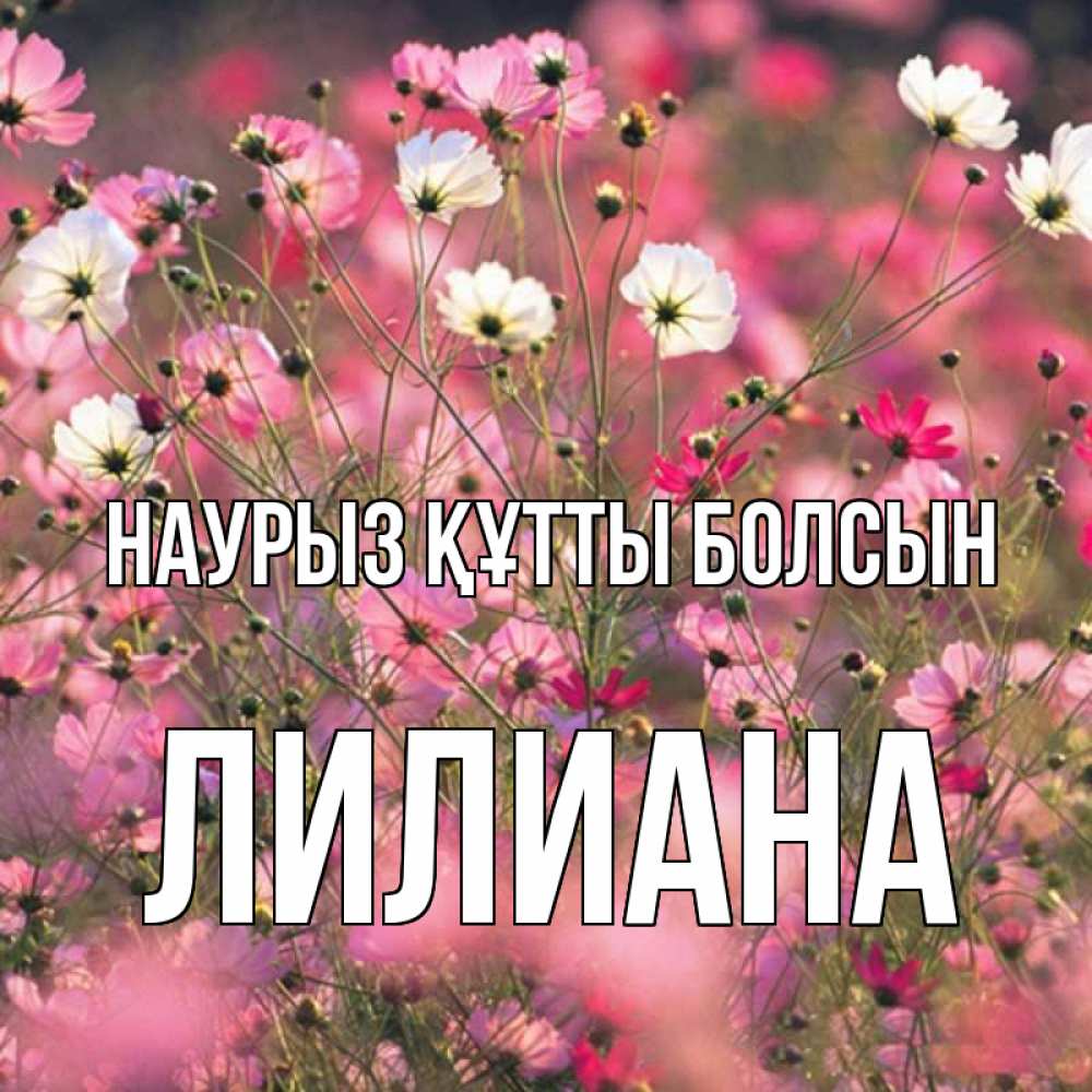 Күн сайын ашық хат с именем, Лилиана Наурыз құтты болсын красиво 1 Онлайн тегін жүктеп алу тілектері бар керемет карта 
