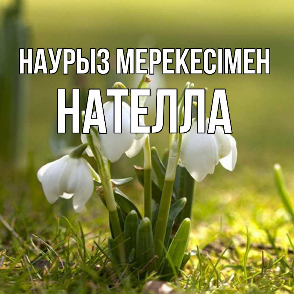 Күн сайын ашық хат с именем, Нателла Наурыз мерекесімен ранние цветы 2 Онлайн тегін жүктеп алу тілектері бар керемет карта 