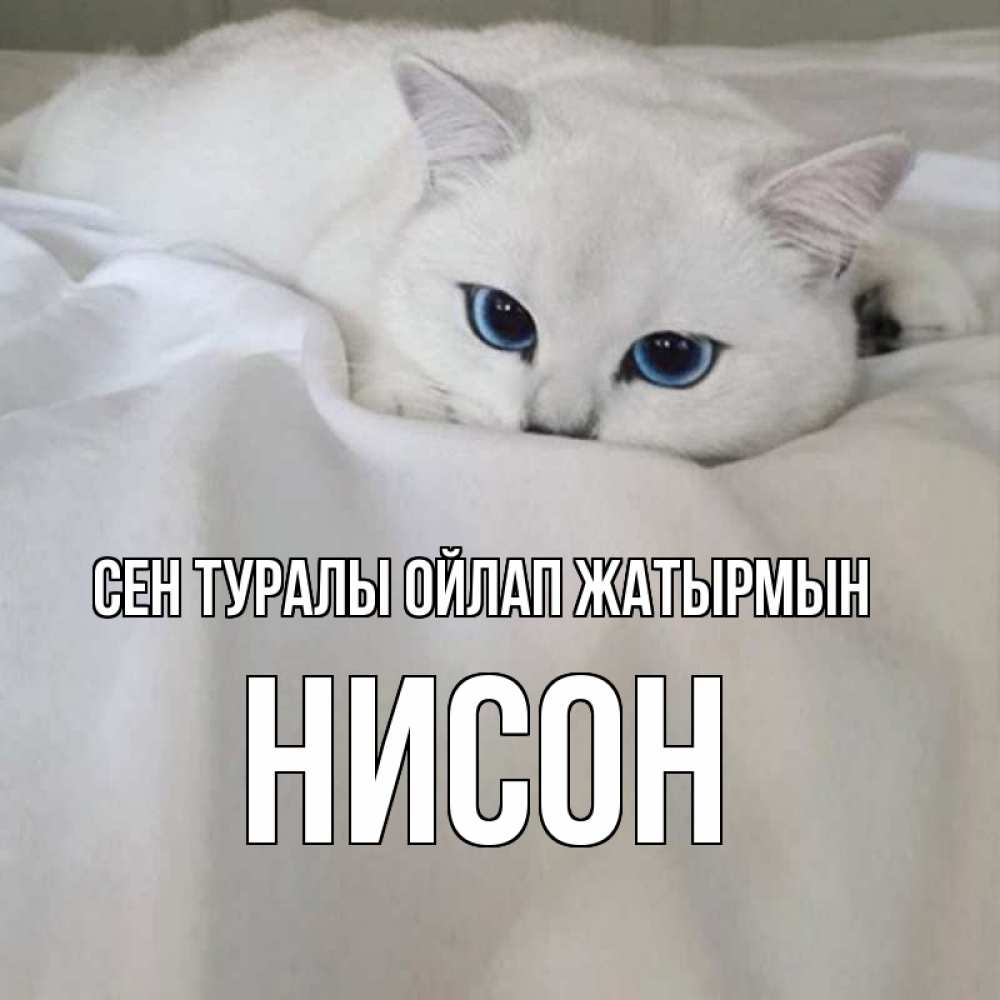 Күн сайын ашық хат с именем, Нисон Сен туралы ойлап жатырмын я очень по тебе скучаю и тоскую Онлайн тегін жүктеп алу тілектері бар керемет карта 