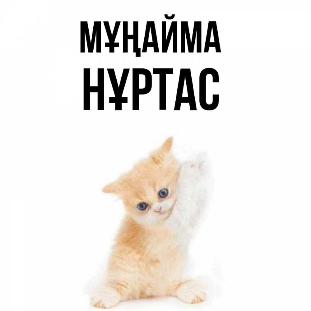 Күн сайын ашық хат с именем, НҰРТАС Мұңайма просящий кот Онлайн тегін жүктеп алу тілектері бар керемет карта 