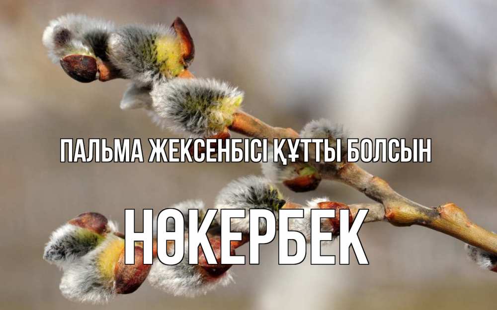 Күн сайын ашық хат с именем, НӨКЕРБЕК Пальма жексенбісі құтты болсын Верба Онлайн тегін жүктеп алу тілектері бар керемет карта 