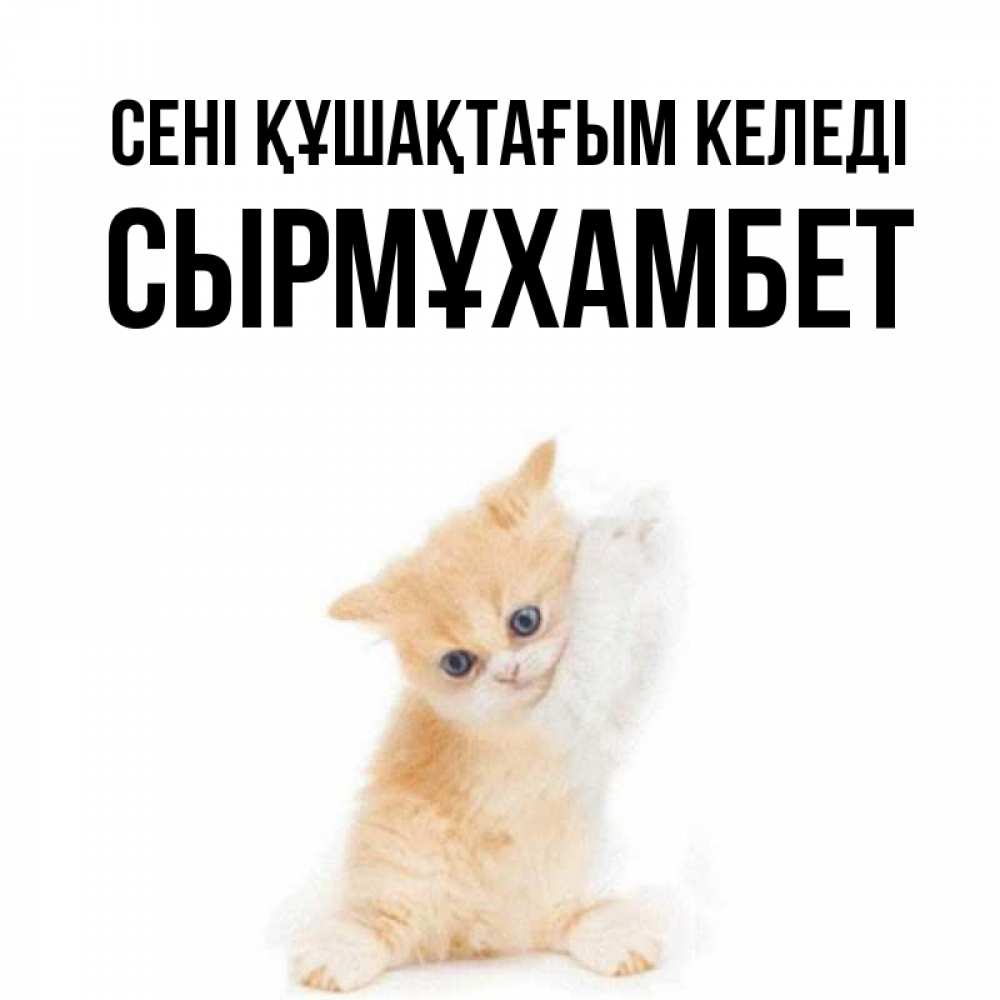 Күн сайын ашық хат с именем, СЫРМҰХАМБЕТ сені құшақтағым келеді я хочу очень скорее обнимаешек Онлайн тегін жүктеп алу тілектері бар керемет карта 