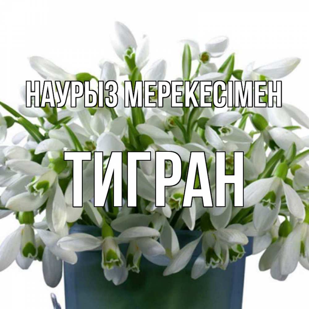 Күн сайын ашық хат с именем, Тигран Наурыз мерекесімен цветы к наурызу новый год в Казахстане Онлайн тегін жүктеп алу тілектері бар керемет карта 
