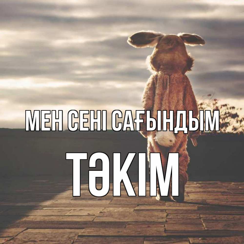 Күн сайын ашық хат с именем, ТӘКІМ Мен сені сағындым даже в костюме зайца Онлайн тегін жүктеп алу тілектері бар керемет карта 