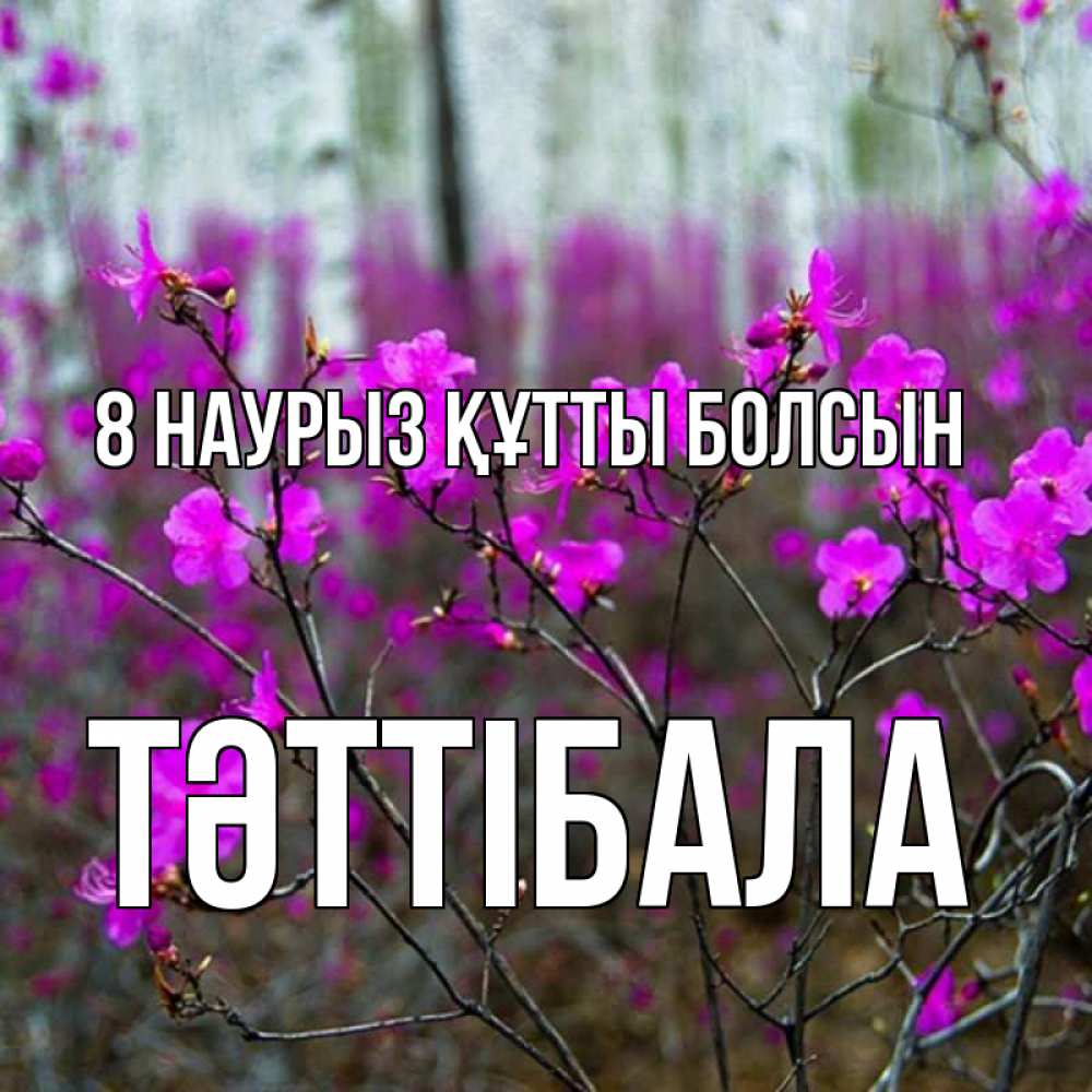 Күн сайын ашық хат с именем, ТӘТТІБАЛА 8 наурыз құтты болсын дикие цветы Онлайн тегін жүктеп алу тілектері бар керемет карта 