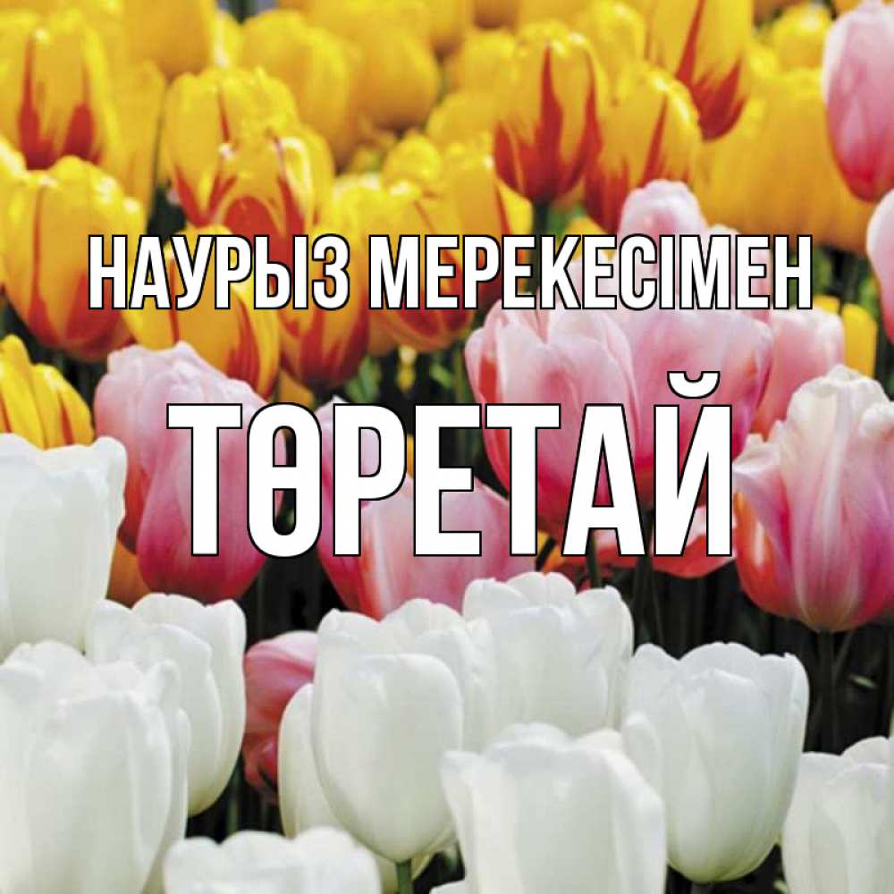 Күн сайын ашық хат с именем, Төретай Наурыз мерекесімен разноцветные цветы Онлайн тегін жүктеп алу тілектері бар керемет карта 