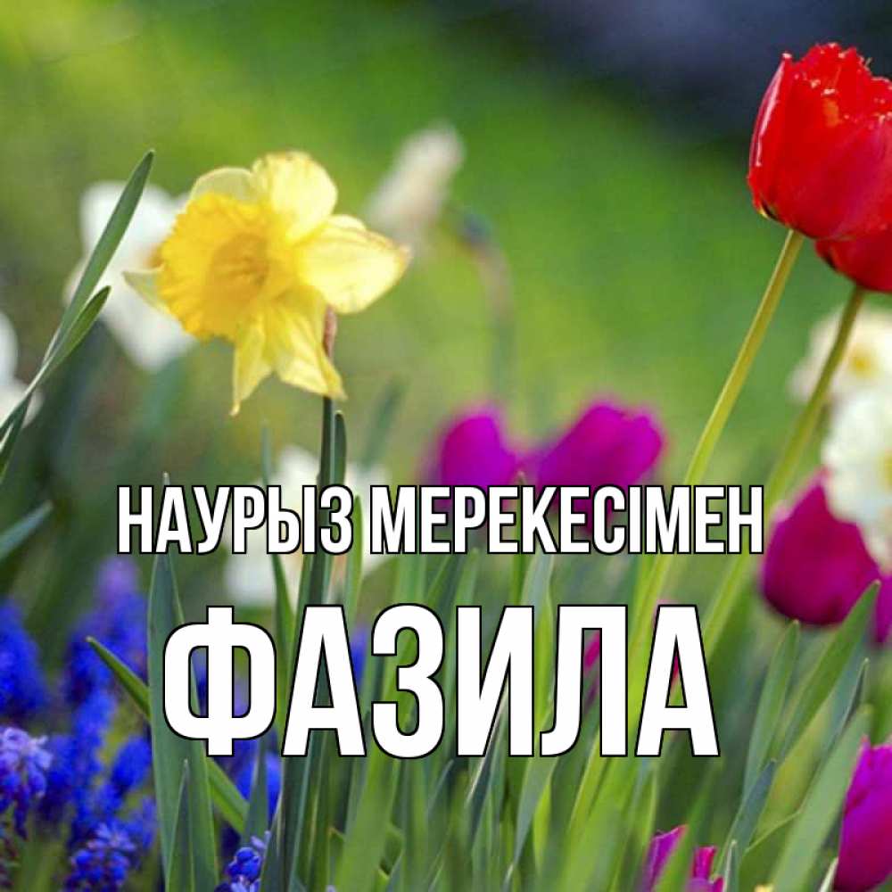 Күн сайын ашық хат с именем, ФАЗИЛА Наурыз мерекесімен праздник весны наурыз 3 Онлайн тегін жүктеп алу тілектері бар керемет карта 