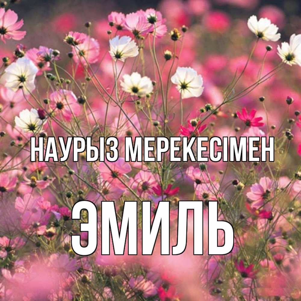 Күн сайын ашық хат с именем, Эмиль Наурыз мерекесімен красиво 1 Онлайн тегін жүктеп алу тілектері бар керемет карта 