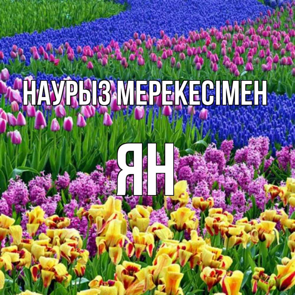 Күн сайын ашық хат с именем, Ян Наурыз мерекесімен цветы Онлайн тегін жүктеп алу тілектері бар керемет карта 