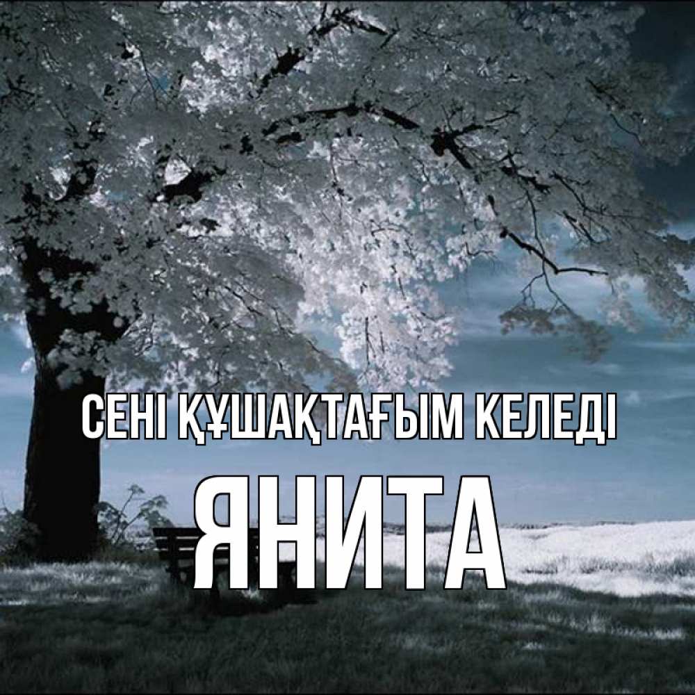 Күн сайын ашық хат с именем, Янита сені құшақтағым келеді дерево Онлайн тегін жүктеп алу тілектері бар керемет карта 