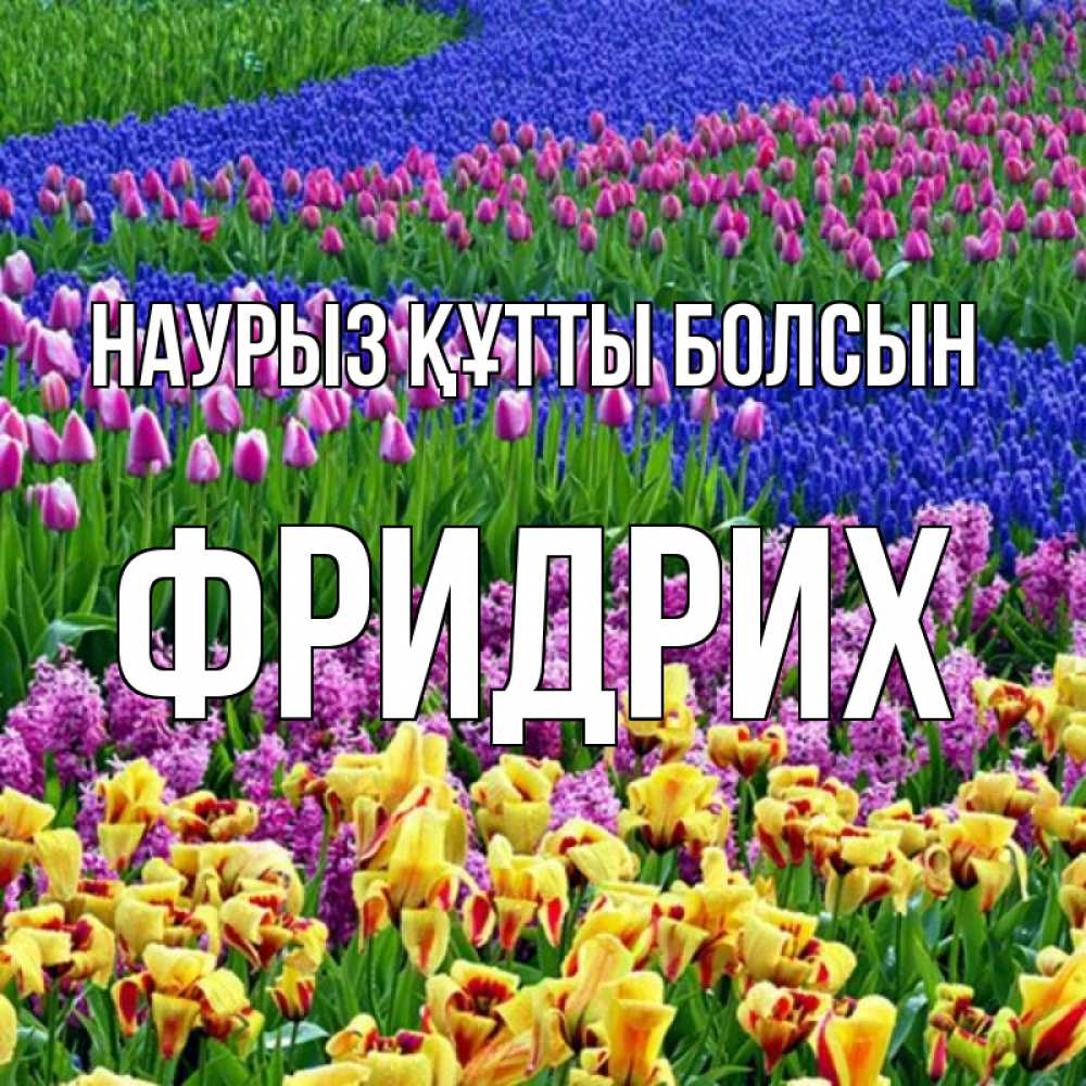 Күн сайын ашық хат с именем, Фридрих Наурыз құтты болсын цветы Онлайн тегін жүктеп алу тілектері бар керемет карта 