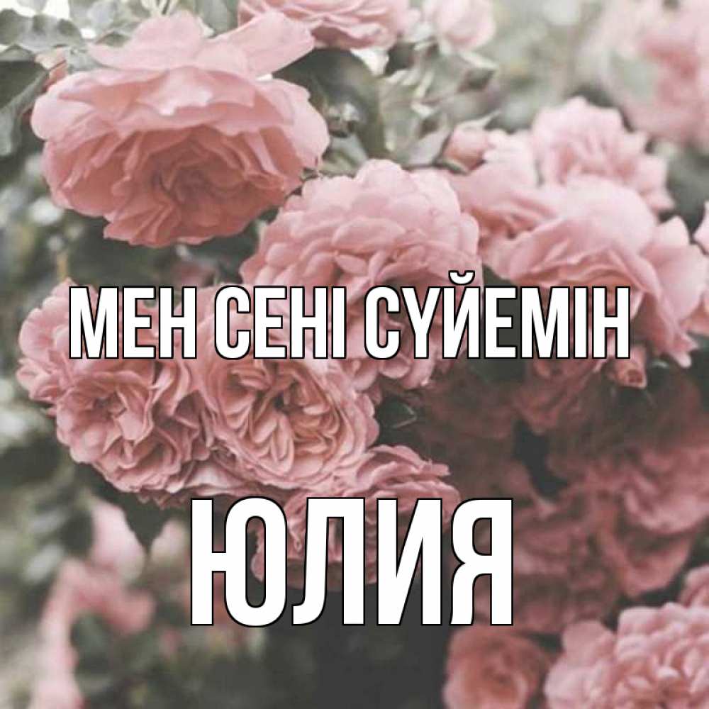 Күн сайын ашық хат с именем, Юлия Мен сені сүйемін розы 3 Онлайн тегін жүктеп алу тілектері бар керемет карта 