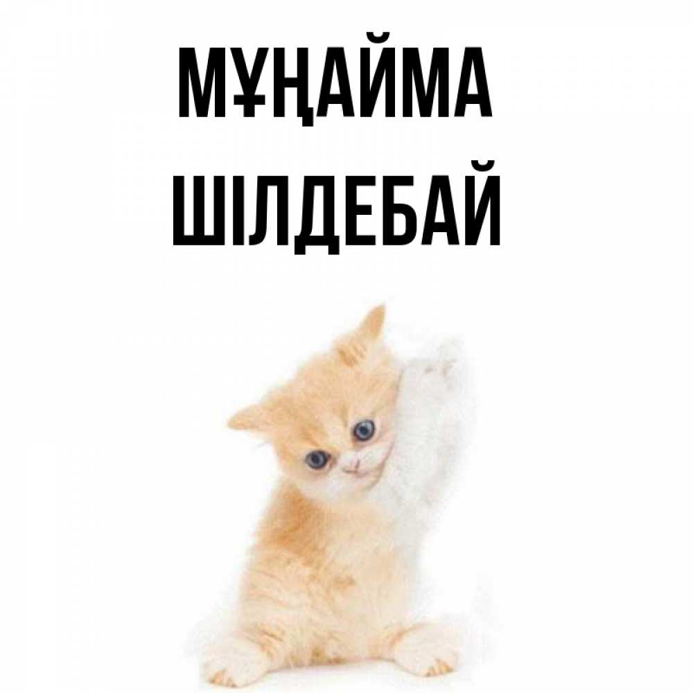Күн сайын ашық хат с именем, ШІЛДЕБАЙ Мұңайма просящий кот Онлайн тегін жүктеп алу тілектері бар керемет карта 