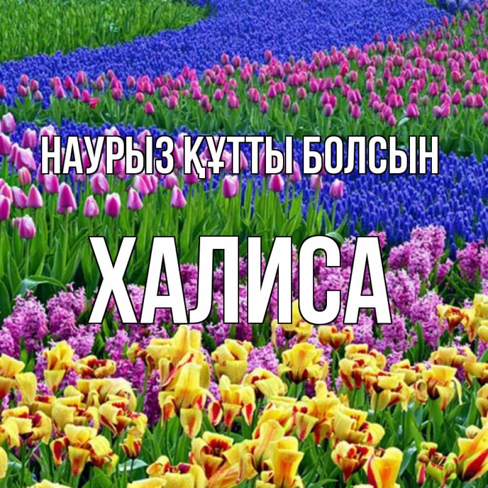 Күн сайын ашық хат с именем, ХАЛИСА Наурыз құтты болсын цветы Онлайн тегін жүктеп алу тілектері бар керемет карта 