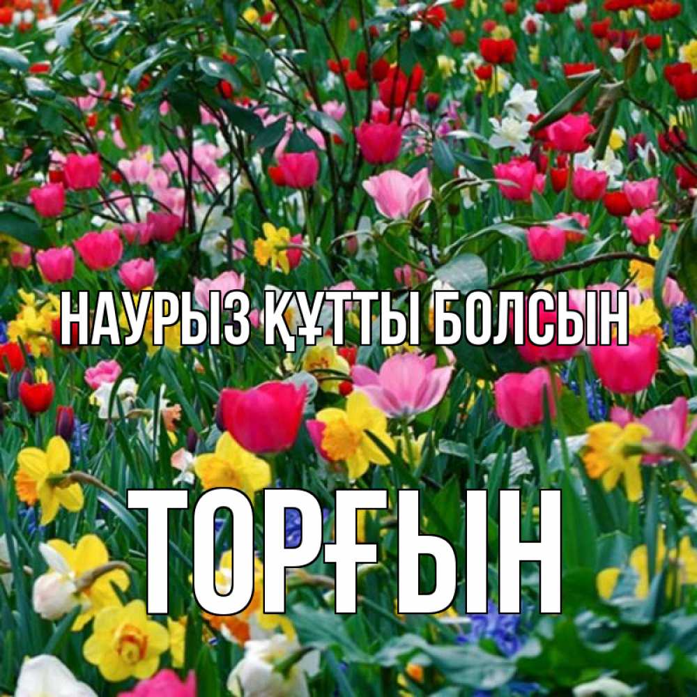 Күн сайын ашық хат с именем, ТОРҒЫН Наурыз құтты болсын с наурызом поздравления для женщины Онлайн тегін жүктеп алу тілектері бар керемет карта 