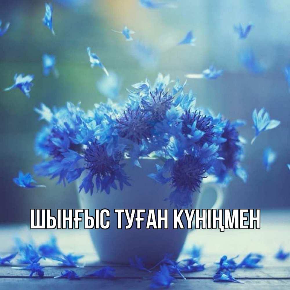 Картинка  с именем , ШЫНҒЫС! ТУҒАН КҮНІҢМЕН!