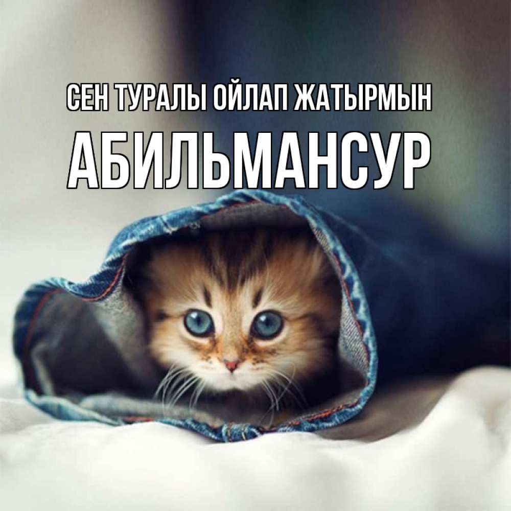 Күн сайын ашық хат с именем, Абильмансур Сен туралы ойлап жатырмын мне без тебя плохо Онлайн тегін жүктеп алу тілектері бар керемет карта 