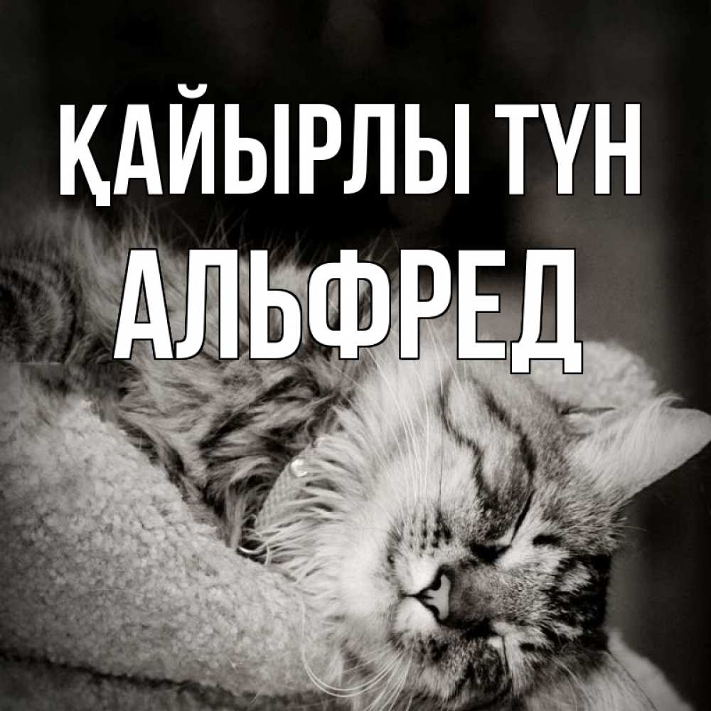 Күн сайын ашық хат с именем, Альфред Қайырлы түн котярик пушистый Онлайн тегін жүктеп алу тілектері бар керемет карта 