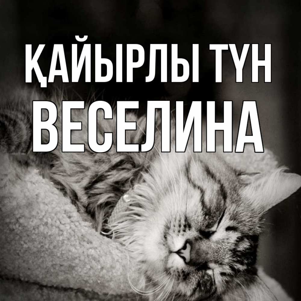 Күн сайын ашық хат с именем, Веселина Қайырлы түн котярик пушистый Онлайн тегін жүктеп алу тілектері бар керемет карта 