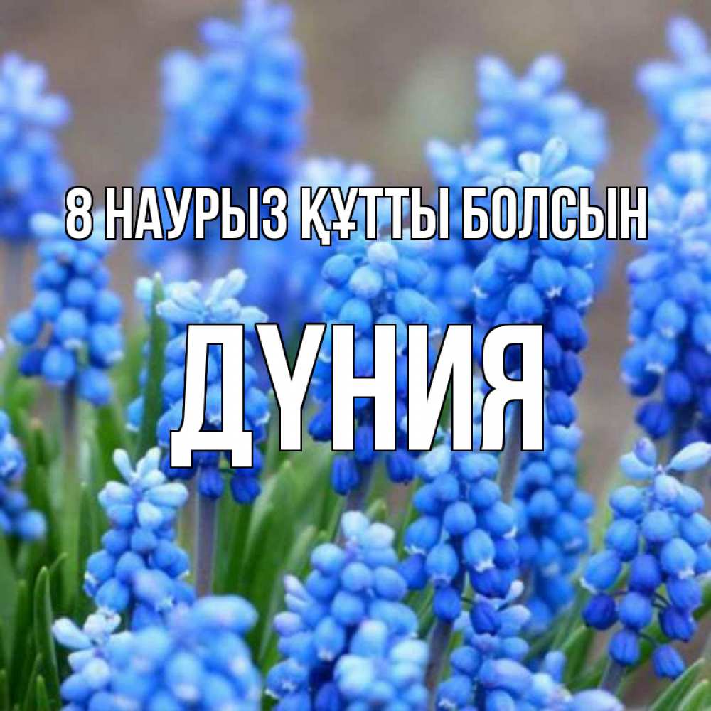 Күн сайын ашық хат с именем, ДҮНИЯ 8 наурыз құтты болсын Поздравительная открытка для женщин с цветами на праздничную дату Онлайн тегін жүктеп алу тілектері бар керемет карта 