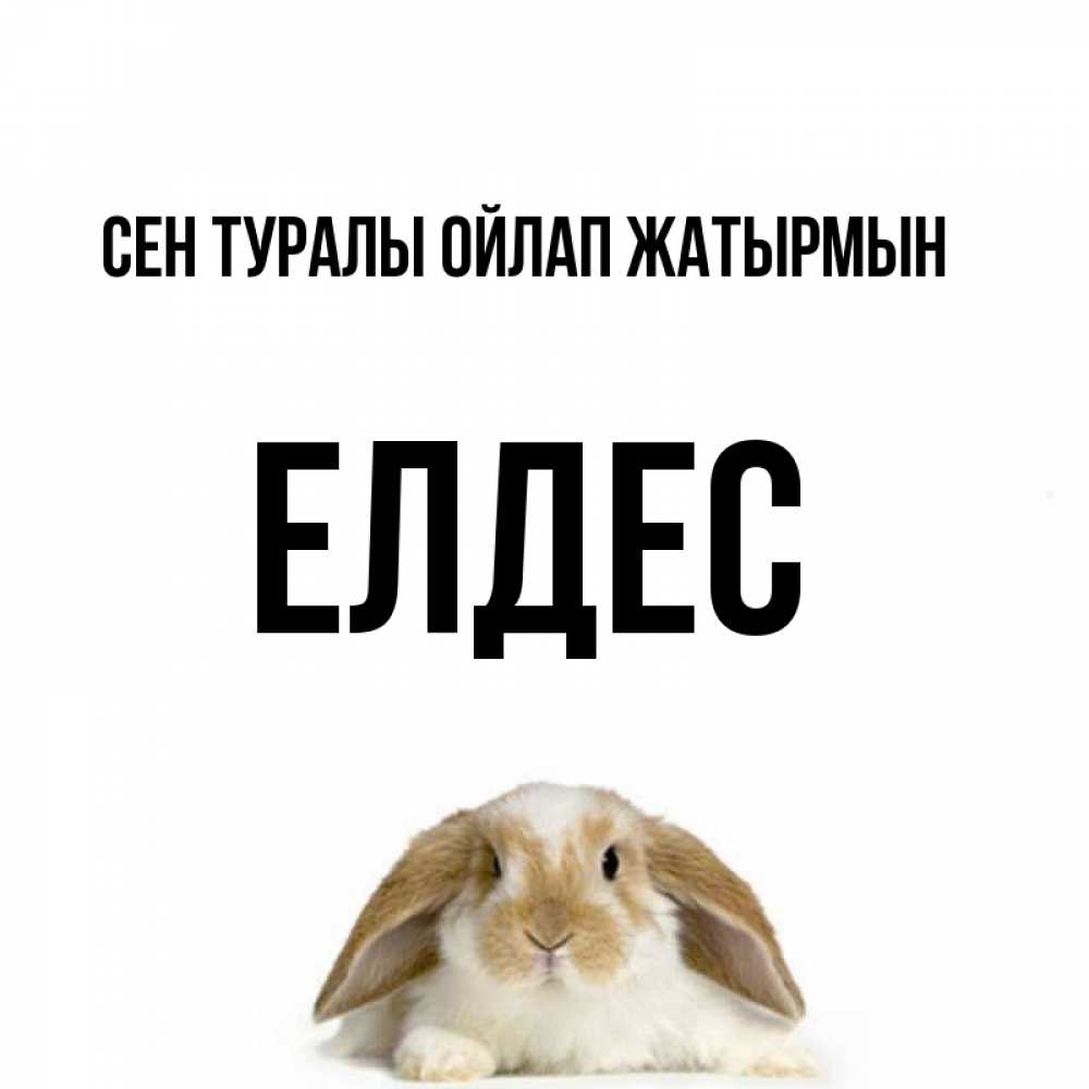 Күн сайын ашық хат с именем, Елдес Сен туралы ойлап жатырмын подписать своими руками онлайн Онлайн тегін жүктеп алу тілектері бар керемет карта 