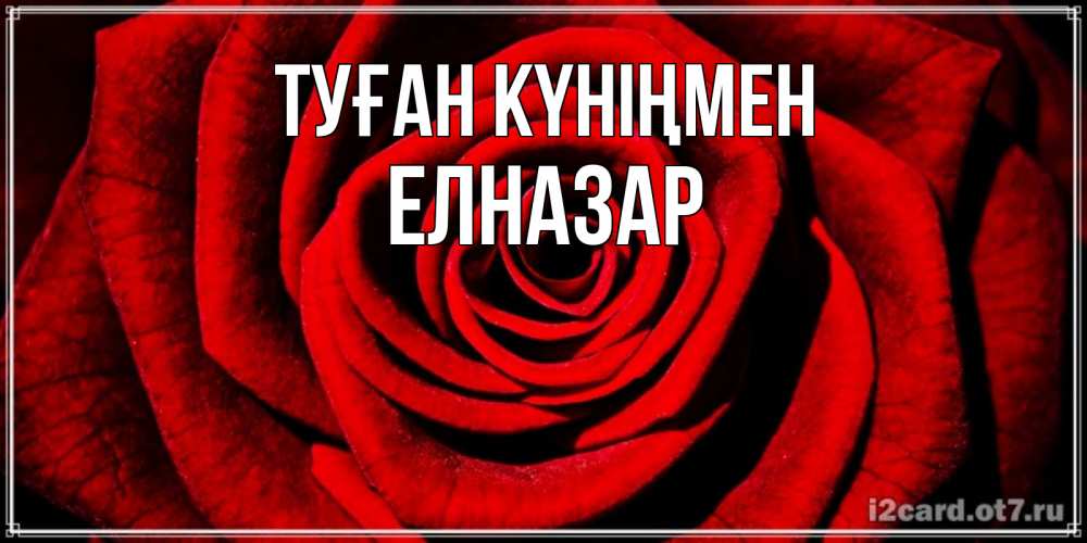 Күн сайын ашық хат с именем, Елназар Туған күніңмен алая роза Онлайн тегін жүктеп алу тілектері бар керемет карта 