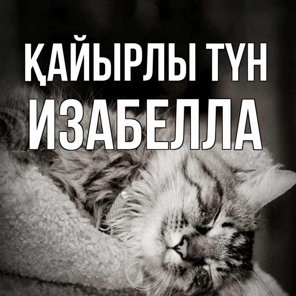 Күн сайын ашық хат с именем, Изабелла Қайырлы түн котярик пушистый Онлайн тегін жүктеп алу тілектері бар керемет карта 