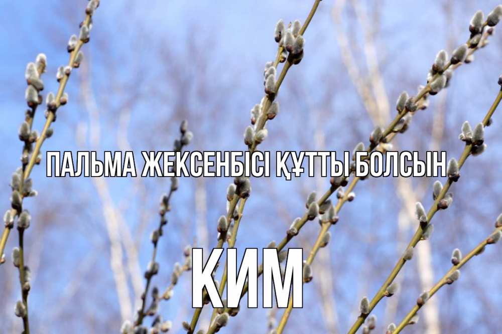 Күн сайын ашық хат с именем, Ким Пальма жексенбісі құтты болсын верба Онлайн тегін жүктеп алу тілектері бар керемет карта 